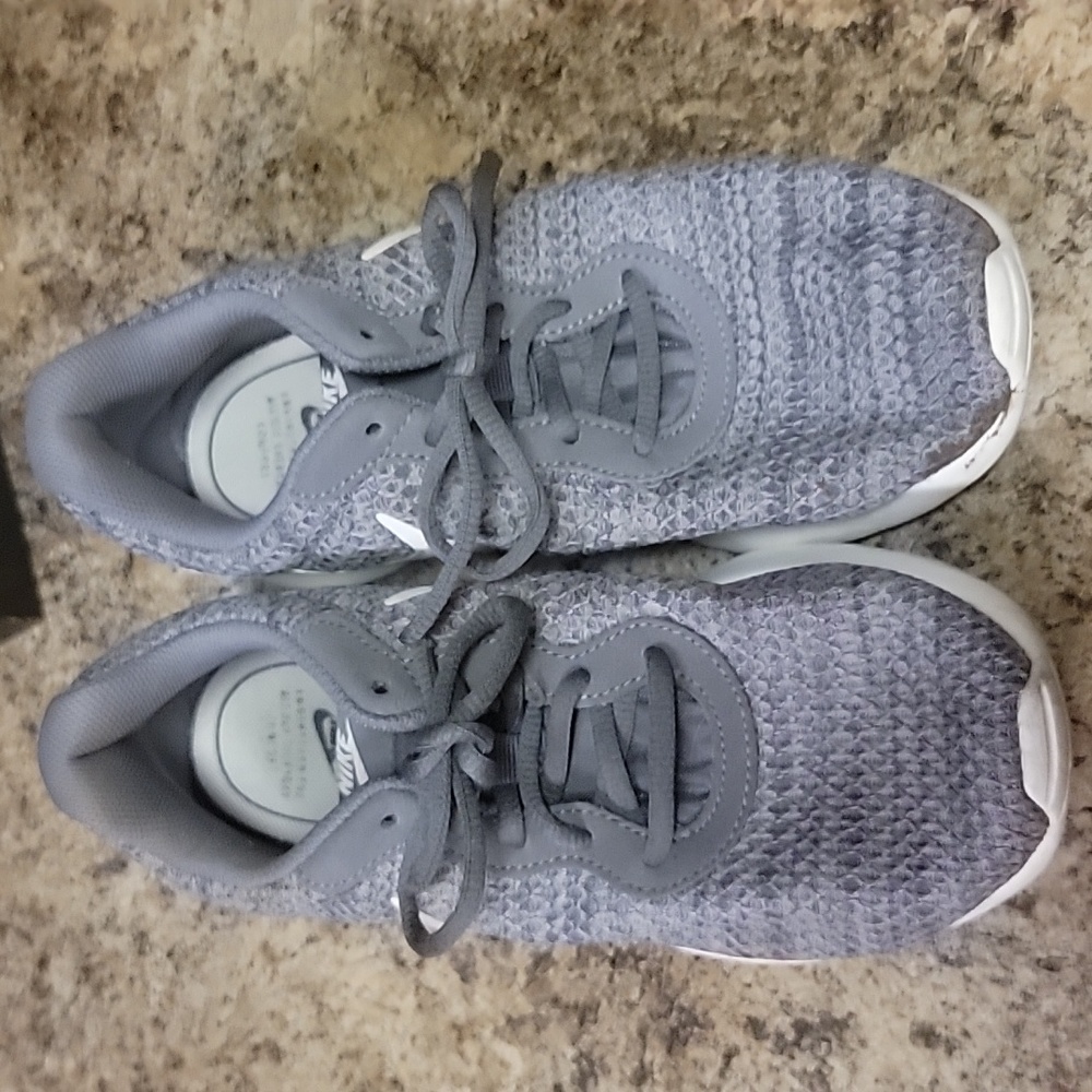 Nike Tanjun shoes